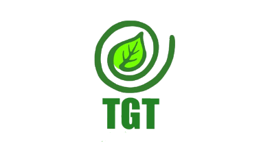 Sales Marketing di The Green Tea